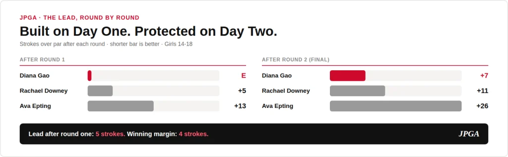 Diana Gao Wins